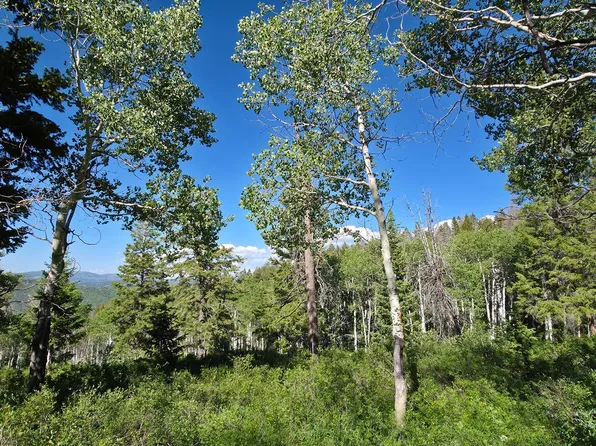 17603 S Beaver Mountain Cir, Spanish Fork, UT 84660