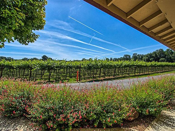 View from tasting room