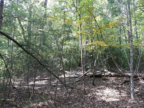 5th image of LOT 69 Rocky Mount Dr