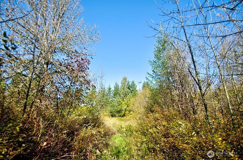 5th image of 110 Frost Road