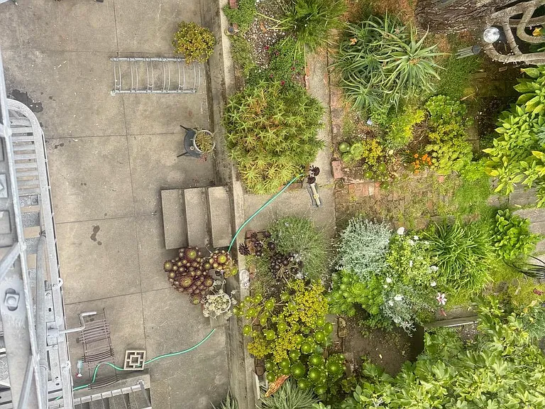 1459 Haight St #5 — Photo 28