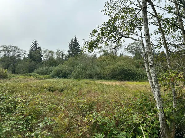 Tl 2400 Alderbrook Rd, Tillamook, OR 97141