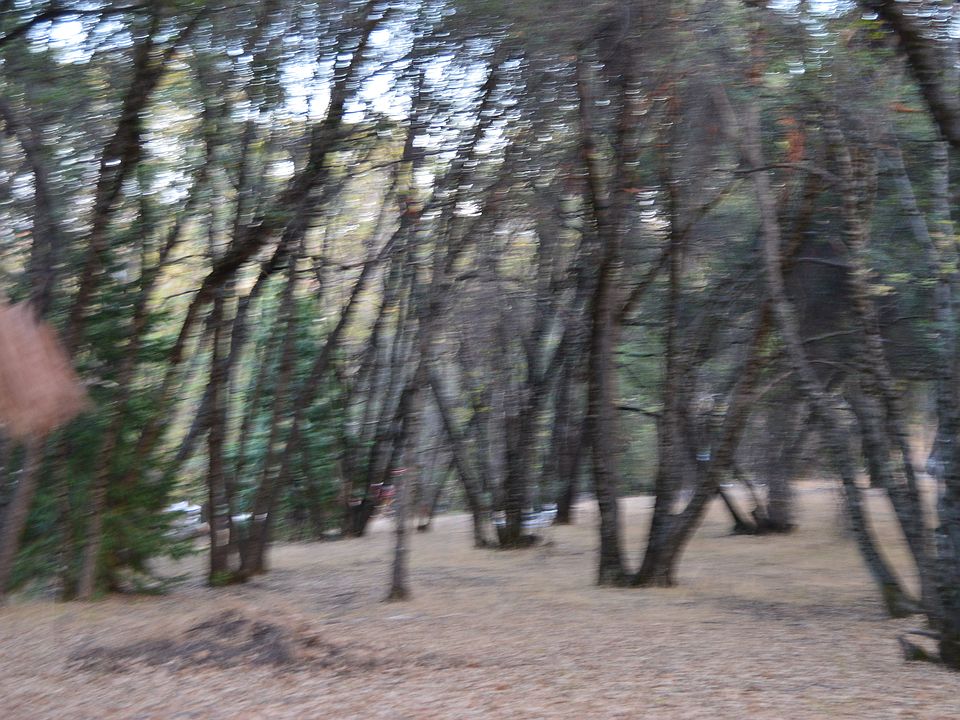 2nd image of Breezy