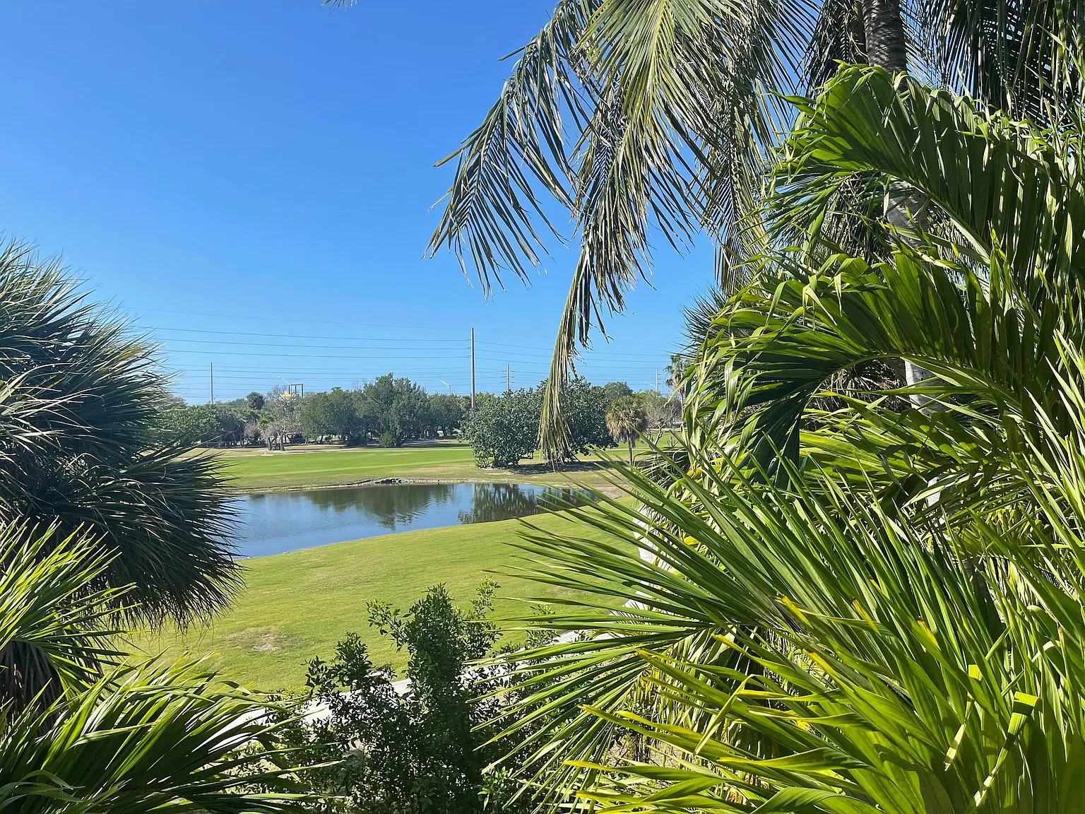 3 bed, 2.5 bath, 1060 sqft, $5,400 — Photo 4