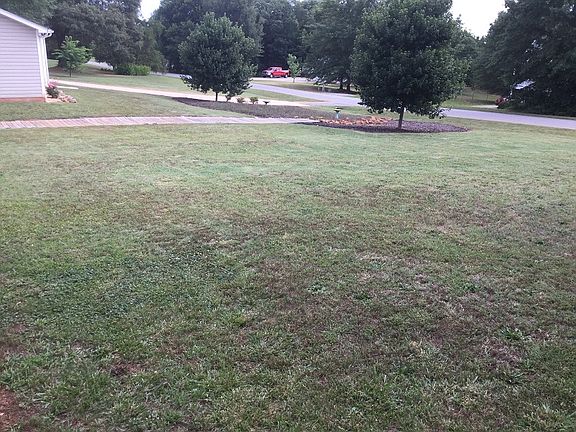 Side view of front yard!