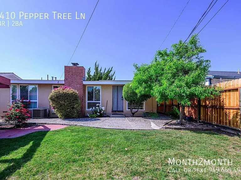 3410 Pepper Tree Ln — Photo 42