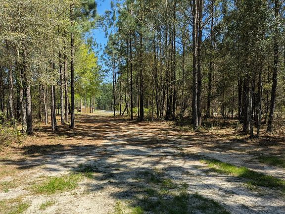 4th image of 132 Oak Estates Way