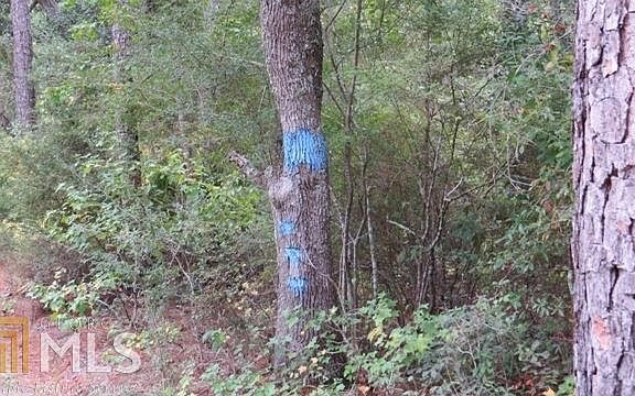 5th image of 0 Area Line Rd