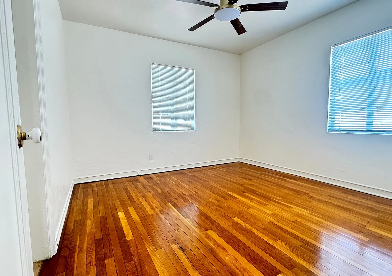 3 bedroom, 1 bath house in Blenman Elm! — Photo 4