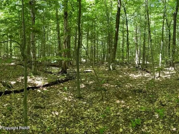 11 Longrifle Rd, Pocono Pines, PA 18350