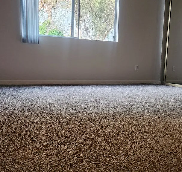 31932 Del Cielo Este — Photo 34