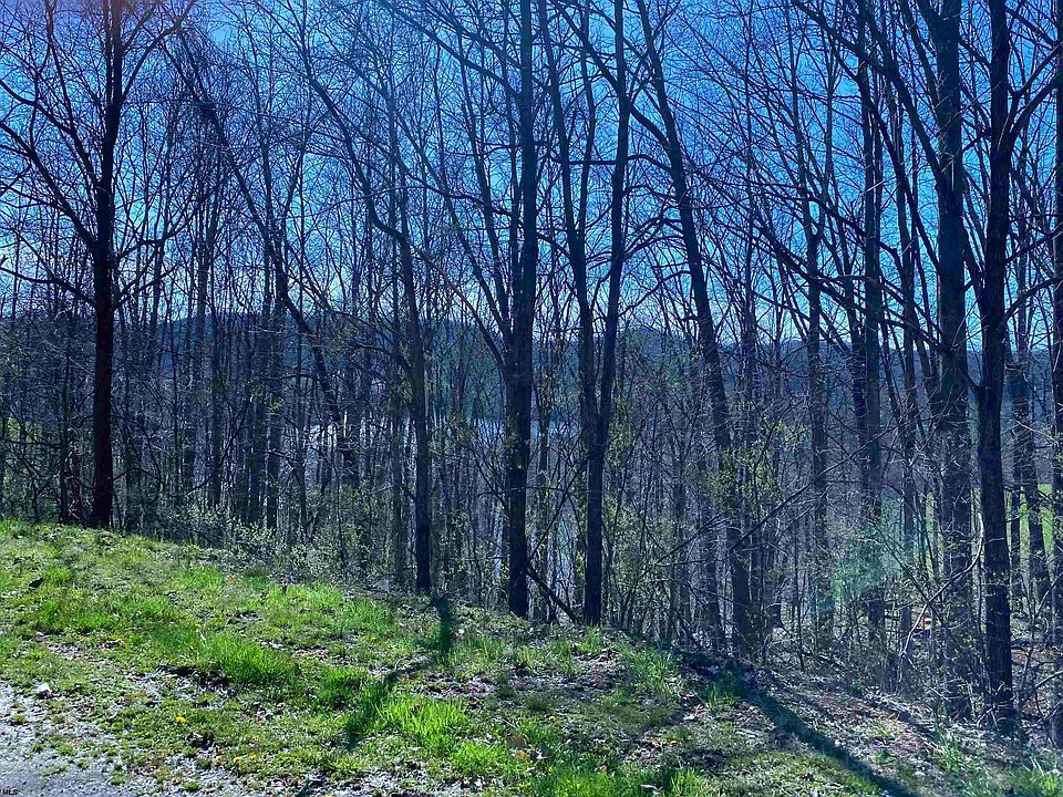 1 Lakeview Dr, Horner, WV 26372 Zillow