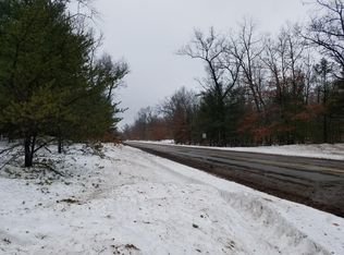 V/l Rybicki Road, Free Soil, MI 49411