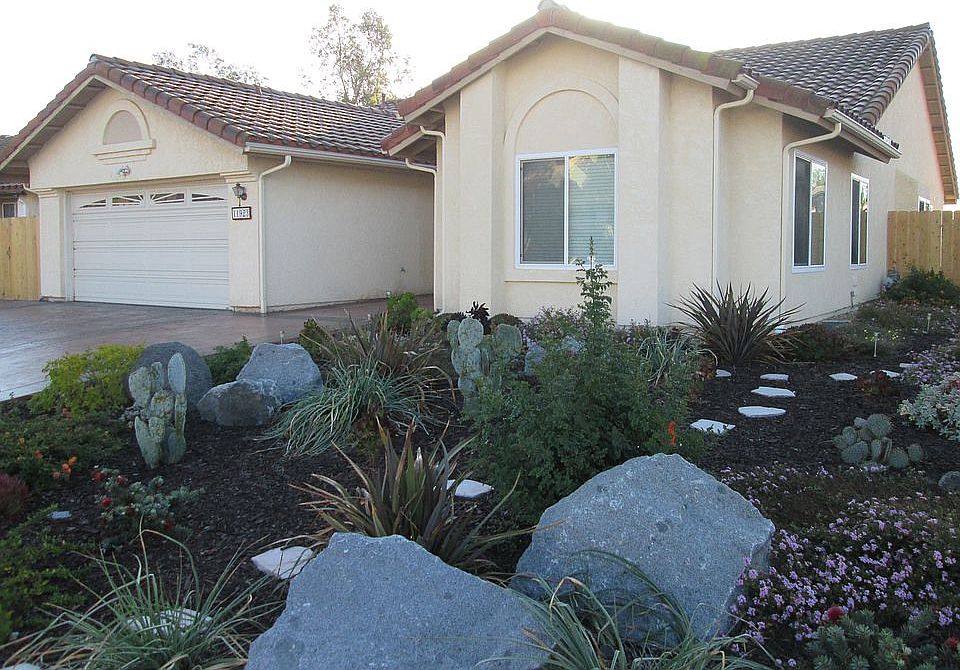 Low Maintenance, low water