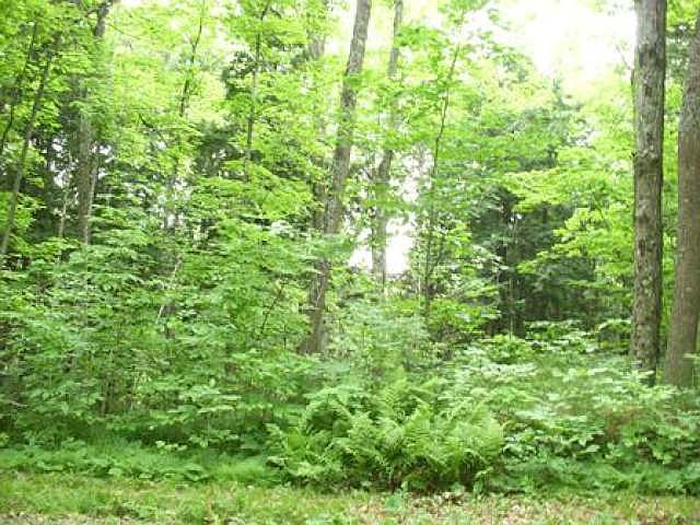 2nd image of On Enterprise Lake Rd