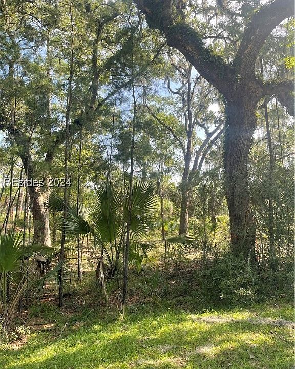 2nd image of 12 Woodstork Lndg