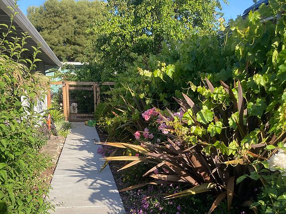 Sidewalk along front porch to backyard