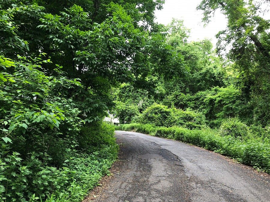 2nd image of 4 Thunder Mountain Rd