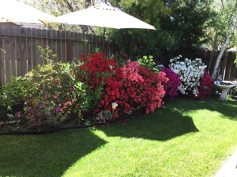 15 Sage Ct — Photo 12