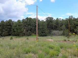 28 William Bonney Rd, Edgewood, NM 87015