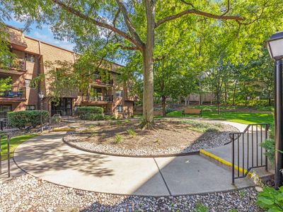 404 Melrose Ave APT 204, Glen Ellyn, IL, 60137
