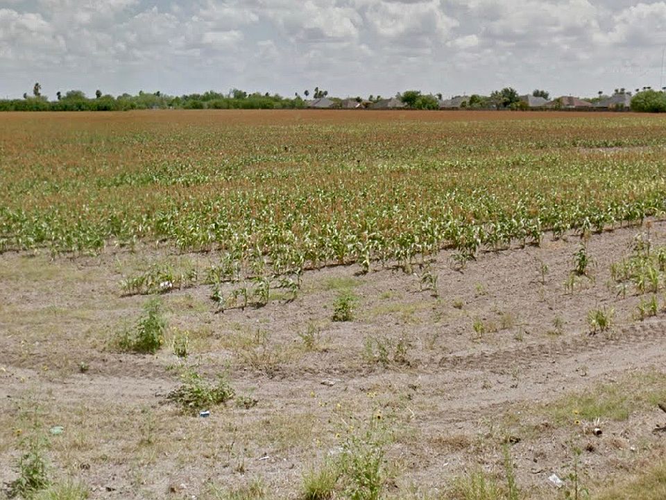 1st image of 1402 Freddy Gonzales Dr