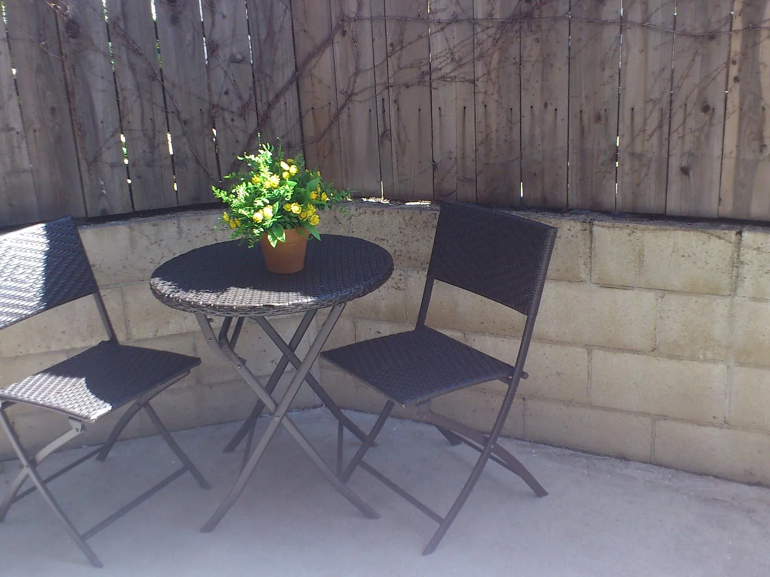 3 bed, 2.5 bath, 1258 sqft, $3,800 — Photo 4