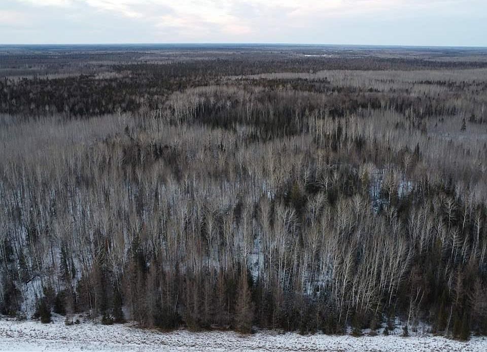 County Road 77, Littlefork, MN 56653 Zillow