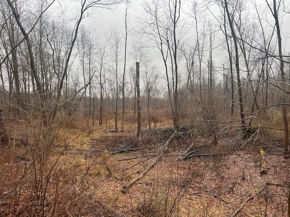 State Route 5 LOT WP001, Newton Falls, OH 44444