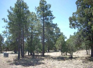 2862 Buck Cir, Overgaard, AZ 85933