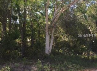 560 Prospect St, Lake Helen, FL 32744