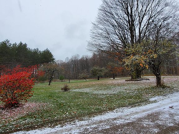 3rd image of 12885 Five Mile Hwy