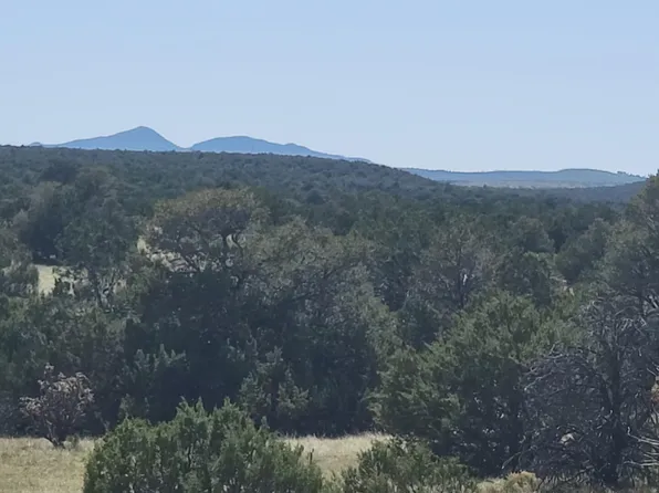 105 Vista Montana Rd, Estancia, NM 87016