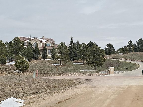 Long driveway. View of the house from across the street.