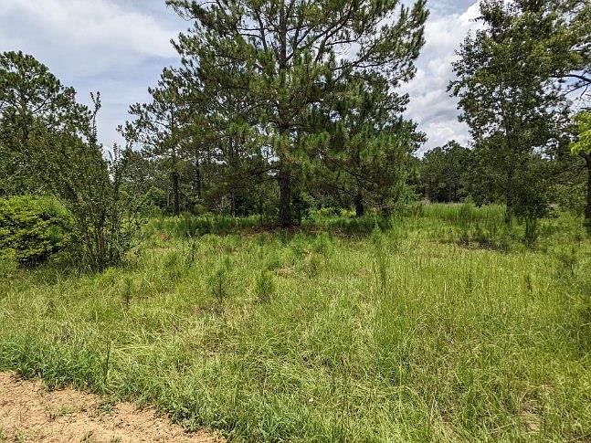 1st image of 205 Rolling Hills Ln