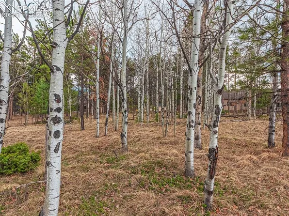 1290 Firestone Dr, Woodland Park, CO 80863