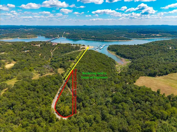 Tract 1 County Road 635, Theodosia, MO 65761