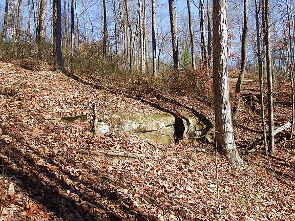 3rd image of 45 Smallwood Trl