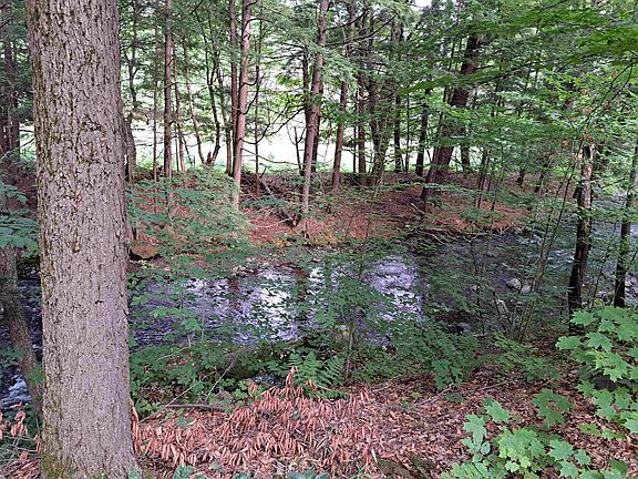 3rd image of 23 CHASE HILL Road