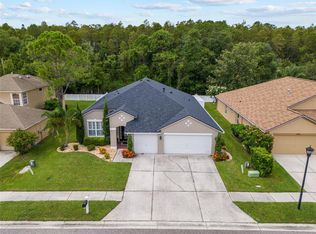 16334 Nikki Ln, Odessa, FL 33556