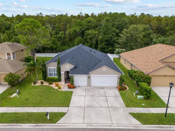 16334 Nikki Ln, Odessa, FL 33556