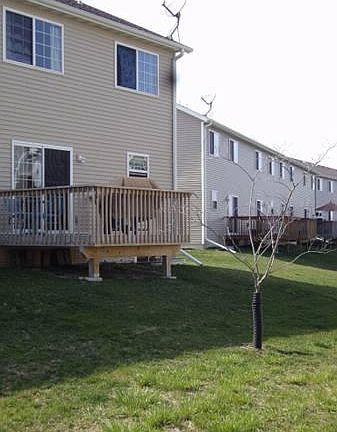 Back Deck