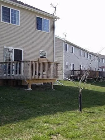Back Deck