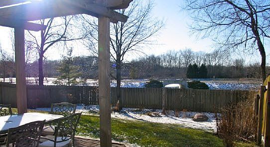 View from Backyard