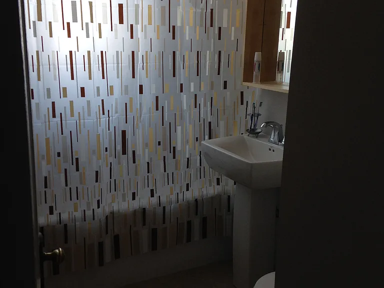 5442 S Cornell Ave #3S — Photo 7