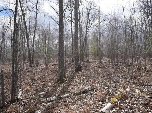 0 Long Lake Road, Iron River, WI 54847