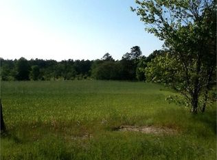 1484 Old Bethel Rd, Chester, GA 31012