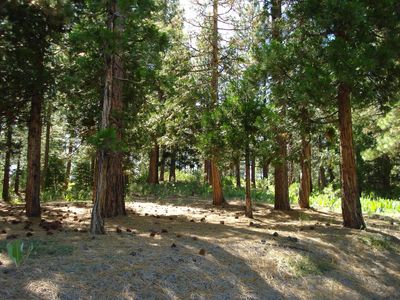 43 Snowbush Way, Portola, CA, 96122