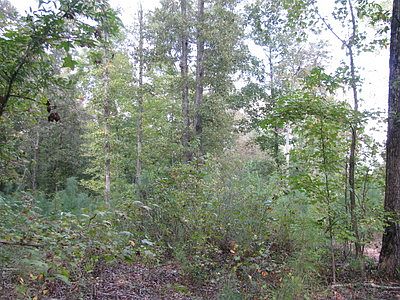 4th image of 4 Acres Louina Road