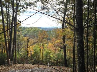 157 Roaring Forks Ln, Ellijay, GA 30540